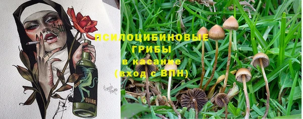 MDMA Premium VHQ Володарск