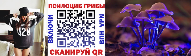 Галлюциногенные грибы Psilocybe  Купить где  Можга 